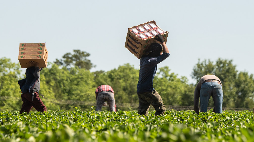 A field crew at work